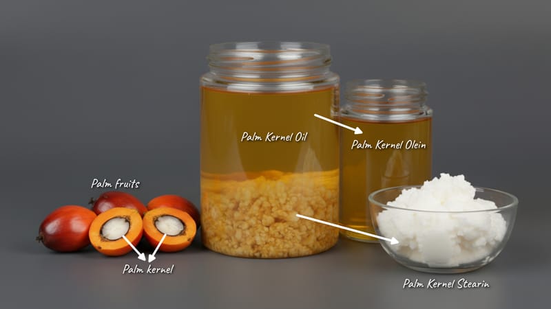 Palm Kernel Olein – wholesale edible oil and wax product from Bio Green Oils and Fats